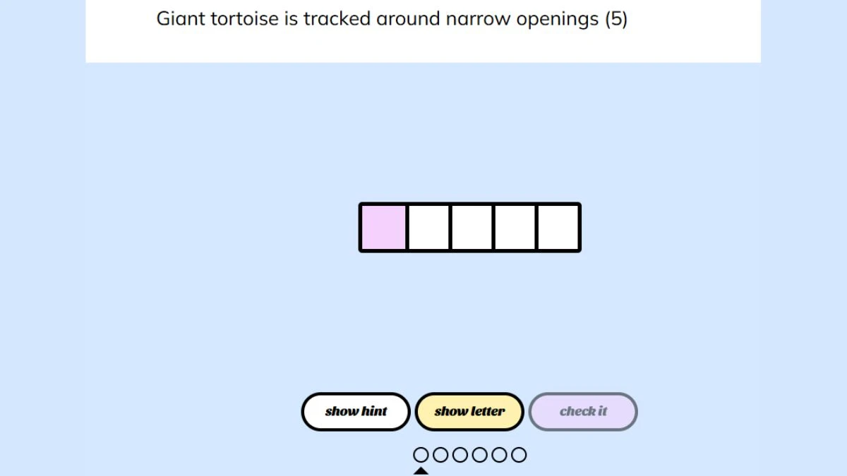 Giant tortoise is tracked around narrow openings (5) Crossword Clue Minute Cryptic Clue Answer for 16 November 2024