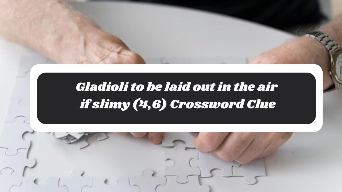 Gladioli to be laid out in the air if slimy (4,6) Crossword Clue Puzzle Answer from November 04, 2024