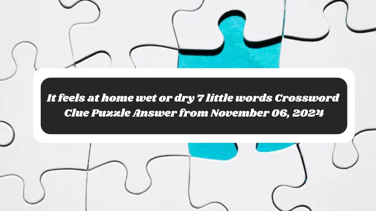 It feels at home wet or dry 7 little words Crossword Clue Puzzle Answer from November 06, 2024