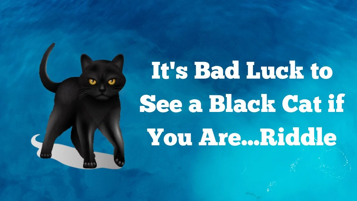 It's Bad Luck to See a Black Cat if You Are Riddle Answer and Explanation