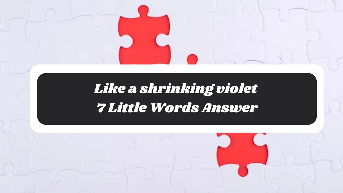 Like a shrinking violet 7 Little Words Answer