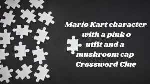 NYT Mario Kart character with a pink outfit and a mushroom cap Crossword Clue Puzzle Answer from November 07, 2024