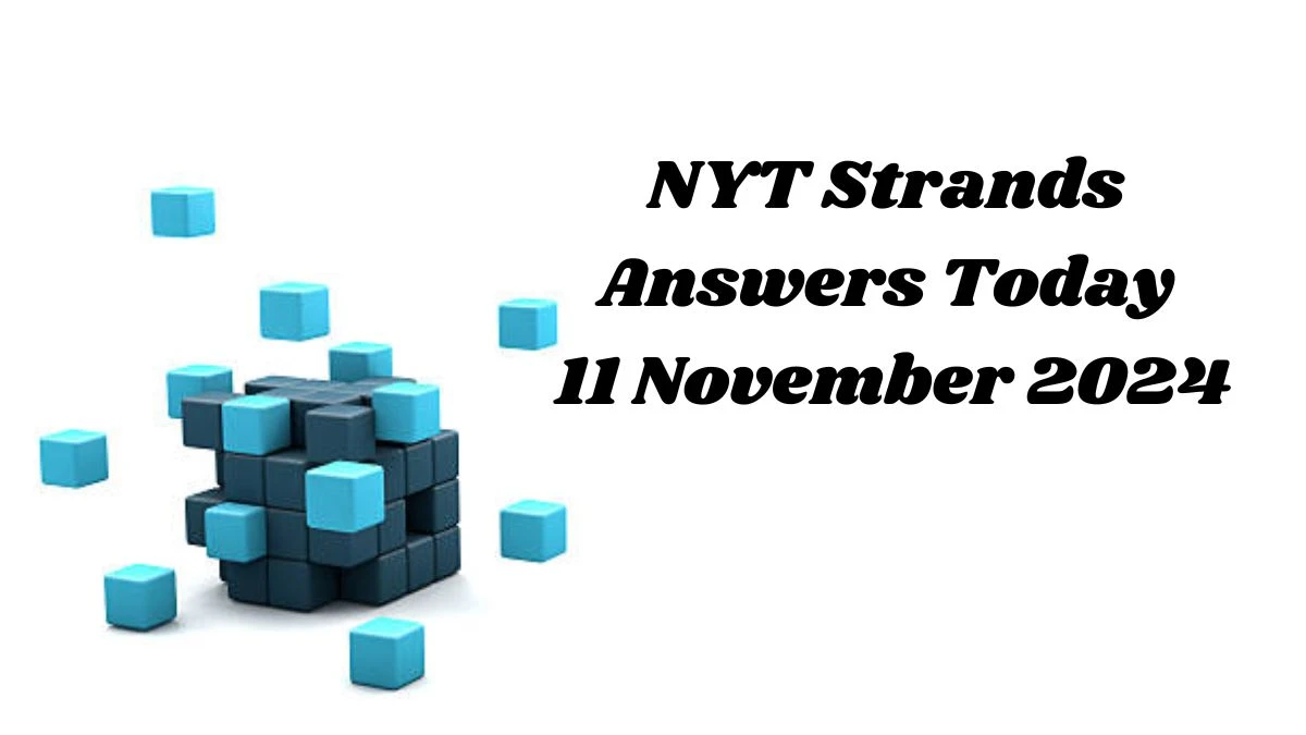 NYT Strands Answers Today 11 November 2024