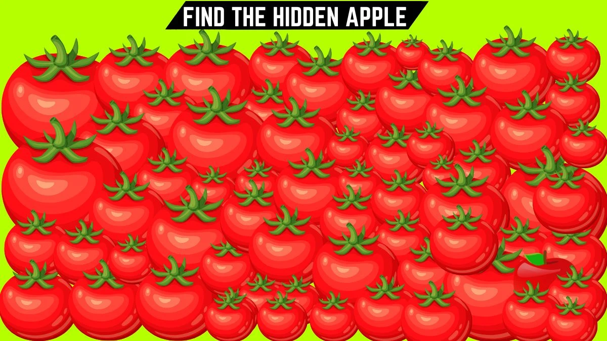 optical illusion only 2020 vision people can spot the hidden apple in 12 secs 6736d1c23655a97037583 1200