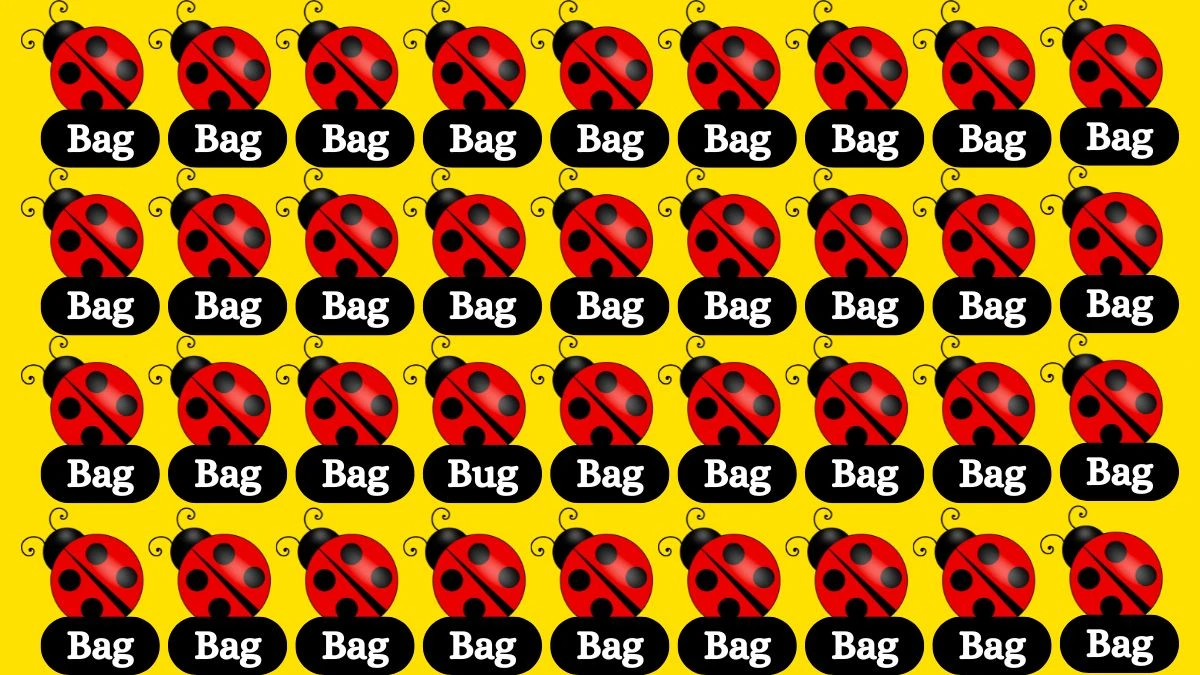 optical illusion only people with 5050 vision can spot the word bug among bag in 7 secs 67348da0eecdf78499991 1200