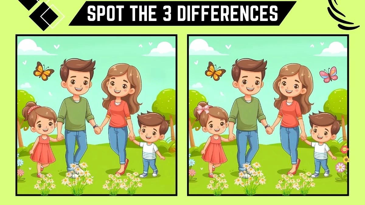 Optical Illusion Spot the Difference: Find 3 Differences in 15 Seconds in Family Pictures