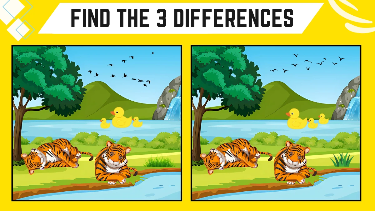 optical illusion spot the difference game only 2020 vision can spot the 3 differences in 673ad7b0e7f7770449597 1200