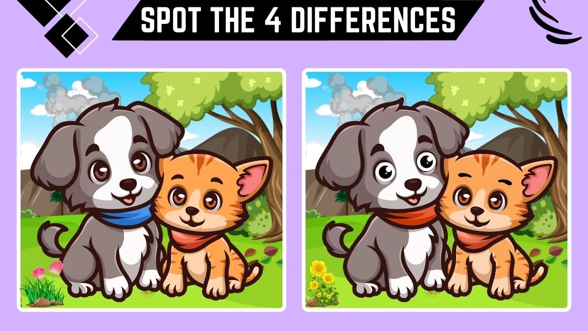 Optical Illusion Spot the Difference Game: Only Eagle Eyes Can Spot the 4 Differences in this Dog and Cat Image in 10 Secs