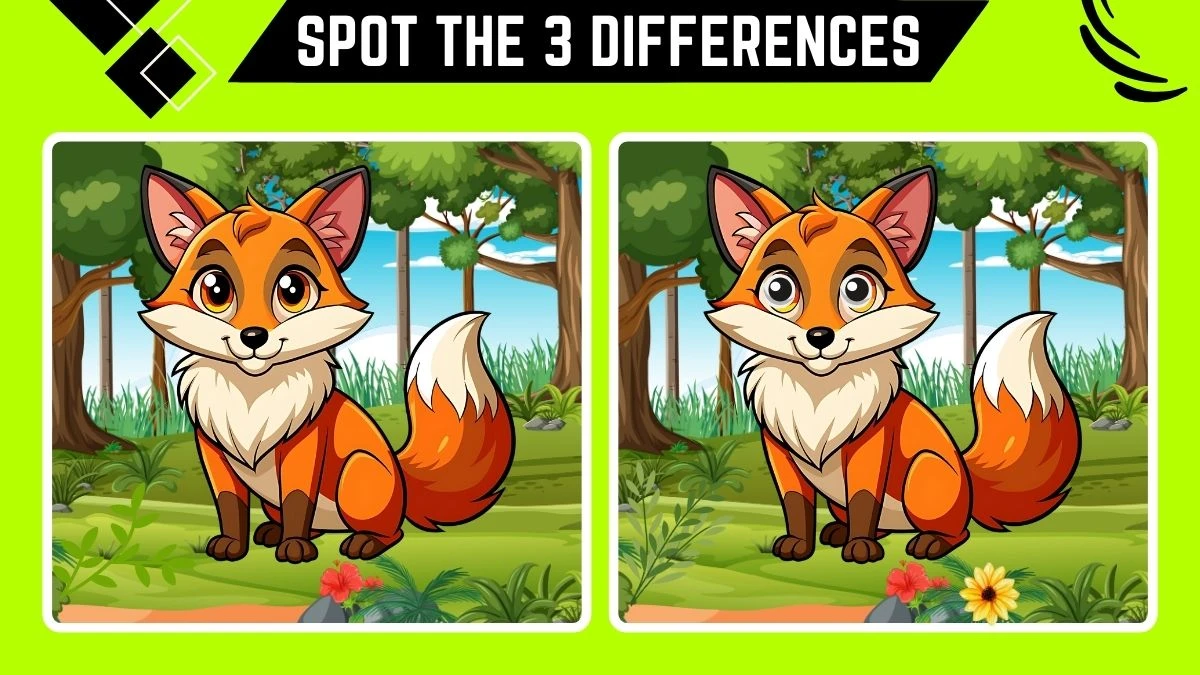 optical illusion spot the difference game only genius with sharp eyes can spot the 3 diff 6732d8aba7d9886248231 1200