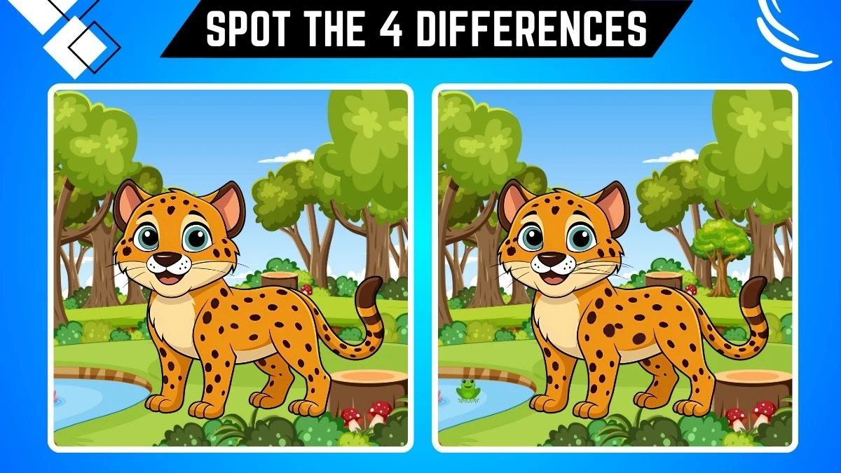 Optical Illusion Spot the Difference Game: Only People with Extra Sharp Eyes Can Spot the 4 Differences in this Cheetah Image in 12 Secs​