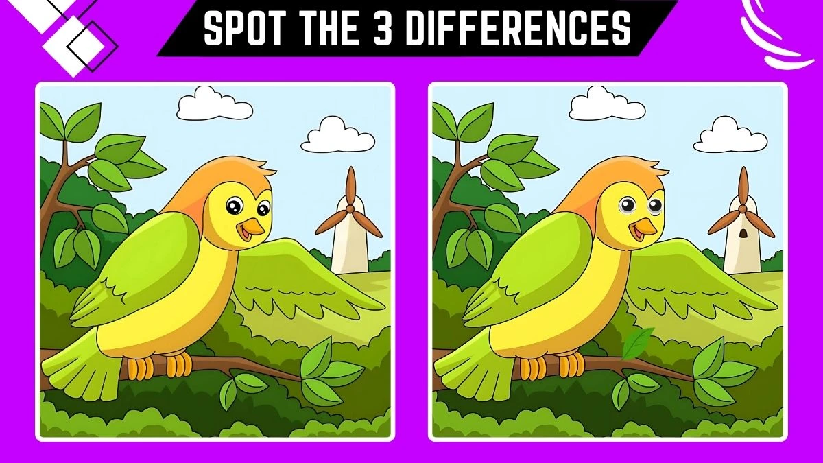 optical illusion spot the difference game only people with extra sharp eyes can spot the 673c10573484c80173768 1200