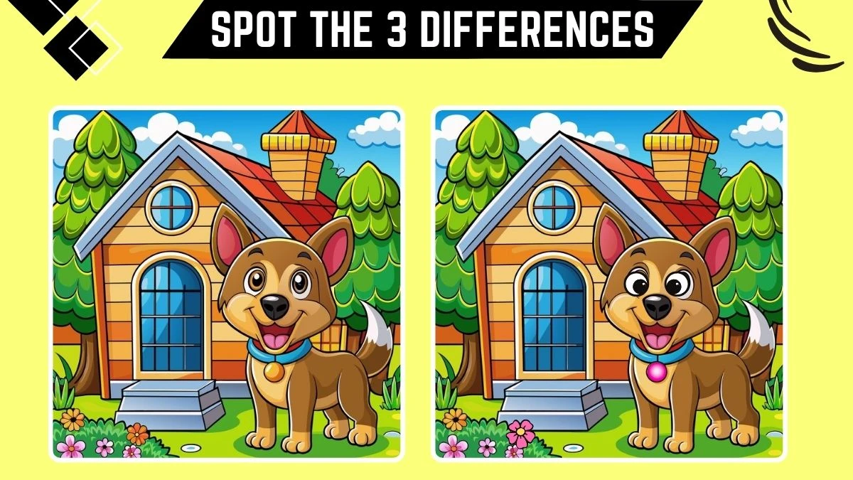 Optical Illusion Spot the Difference Game: Only People with Extra Sharp Eyes Can Spot the 3 Differences in this Dog Image in 10 Secs​