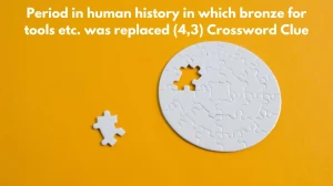 Period in human history in which bronze for tools etc. was replaced (4,3) Crossword Clue Puzzle Answer from November 22, 2024