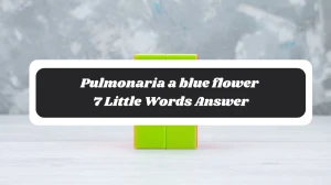 Pulmonaria a blue flower 7 Little Words Answer