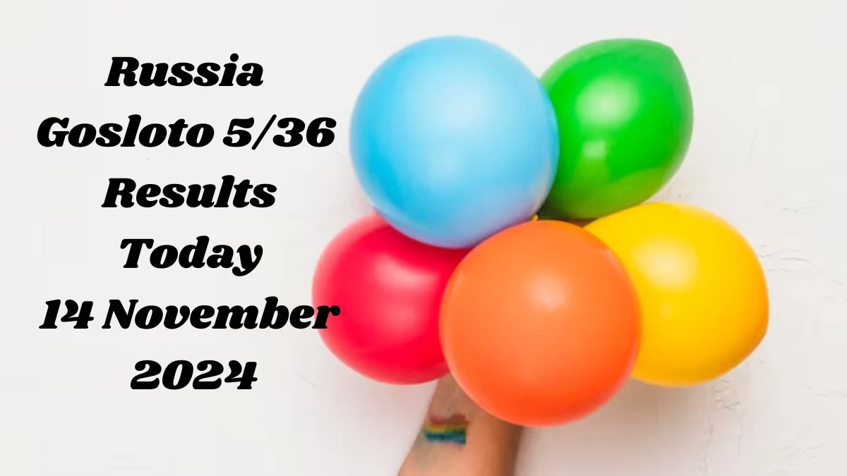 Russia Gosloto 5/36 Results Today 14 November 2024 - Draws of Each 15 Minutes