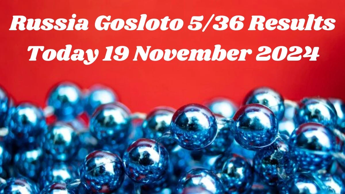 Russia Gosloto 5/36 Results Today 19 November 2024 - Draws of Each 15 Minutes