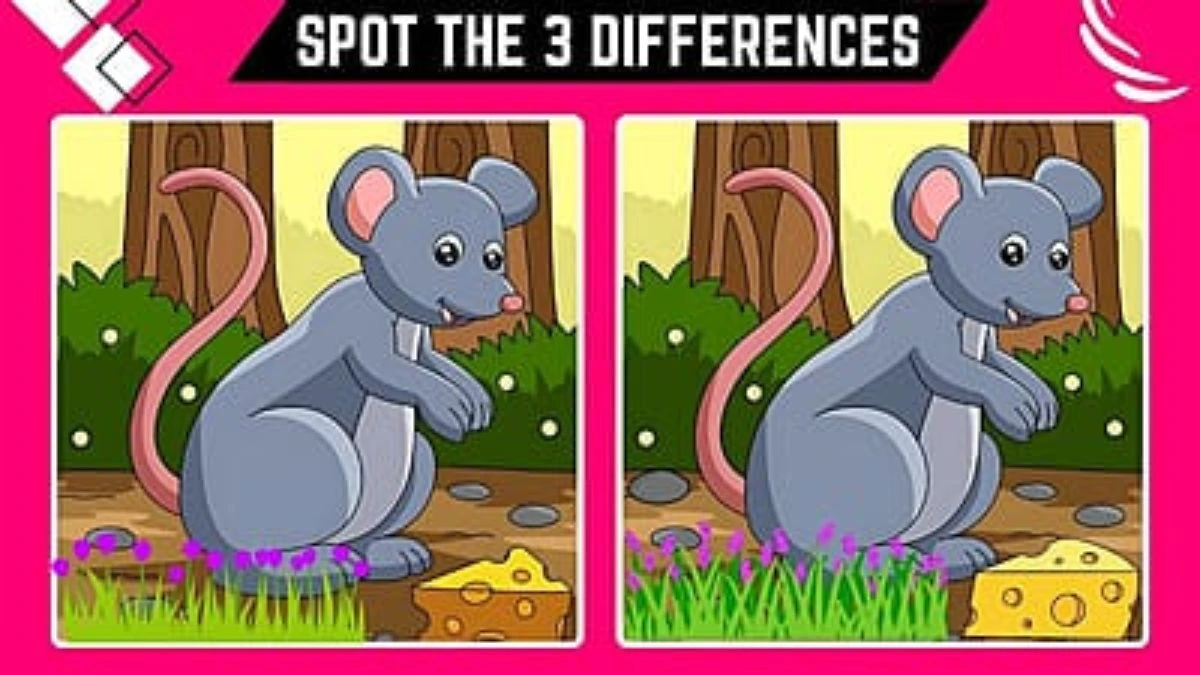 spot the 3 differences only people with eagle eyes can spot the 3 differences in this rat 674189d4a97d619730511 1200