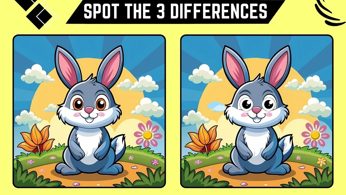 spot the 3 differences picture puzzle game only eagle eyes can spot the 3 differences in 6724570dc772e2679485 1200