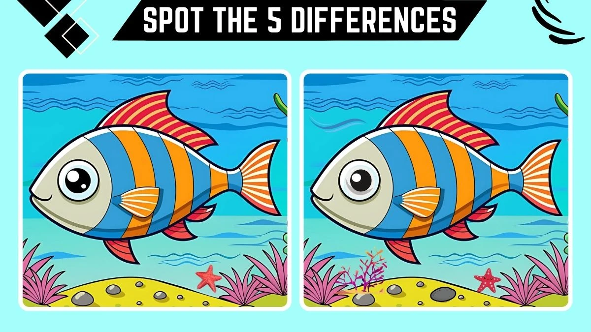 spot the 5 differences only genius with sharp eyes can spot the 5 differences in this fis 67299bd1c6de911691811 1200