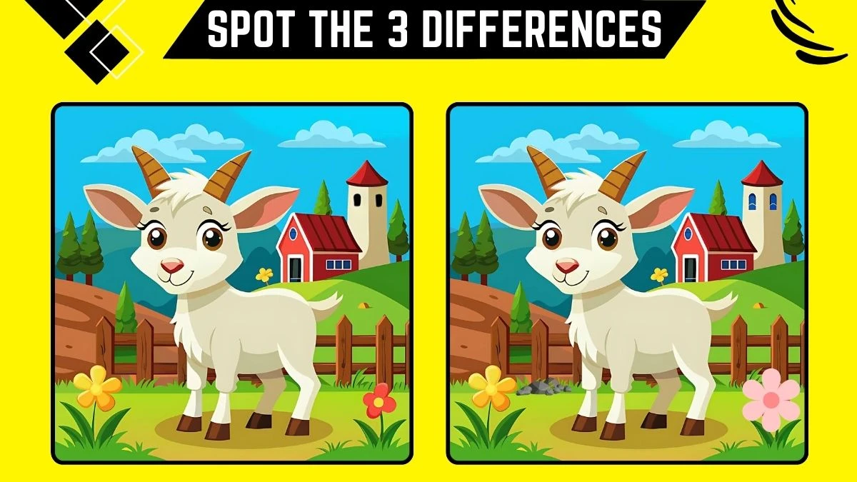 spot the difference game only eagle eyes can spot the 3 differences in this goat image in 6728492fc9cf865740197 1200