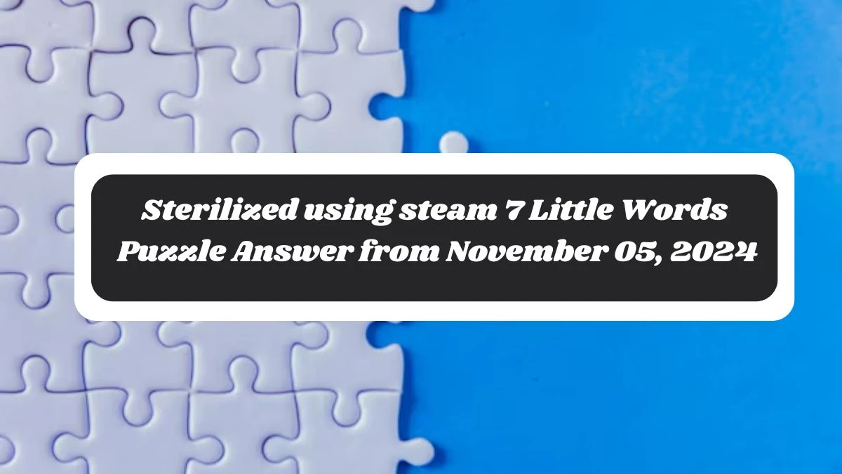 Sterilized using steam 7 Little Words Puzzle Answer from November 05, 2024