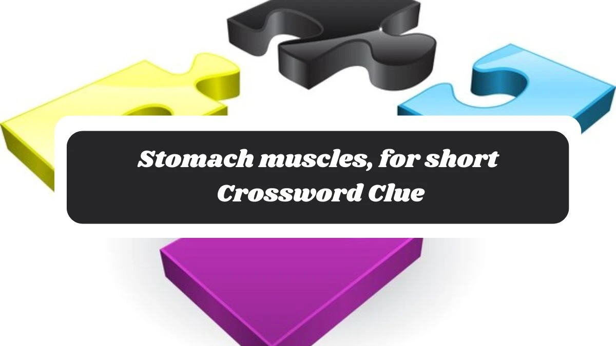 Stomach muscles, for short Daily Commuter Crossword Clue Puzzle Answer from November 04, 2024