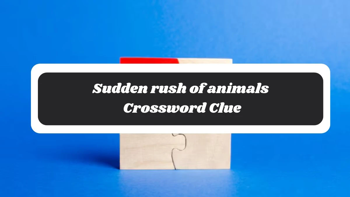 Irish Daily Mail Quick Sudden rush of animals Crossword Clue Puzzle Answer from November 05, 2024