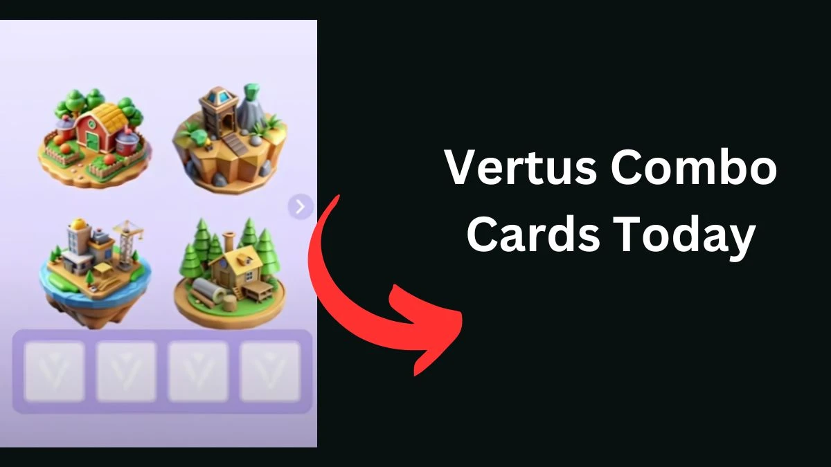 Vertus Bot Daily Combo Cards 06 November 2024