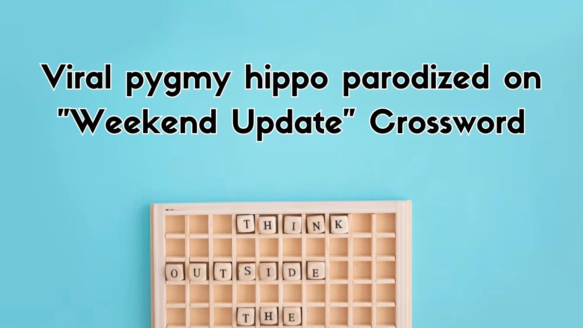 Viral pygmy hippo parodized on Weekend Update NYT Crossword Clue