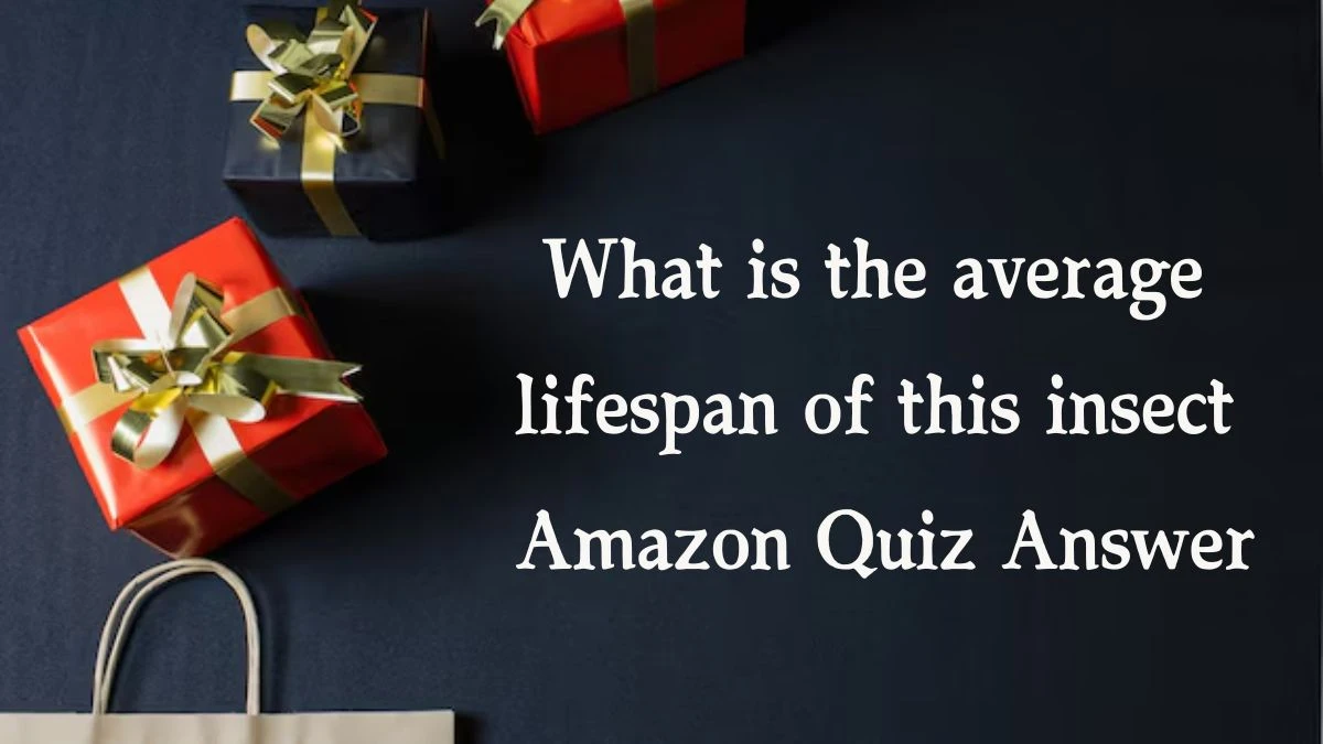 What is the average lifespan of this insect Amazon Quiz Answer Today November 13, 2024