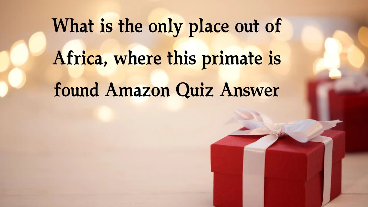 What is the only place out of Africa, where this primate is found Amazon Quiz Answer Today November 08, 2024