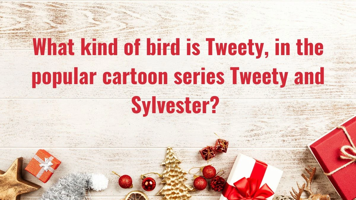 What kind of bird is Tweety, in the popular cartoon series Tweety and Sylvester? Amazon Quiz Answer Today November 16, 2024