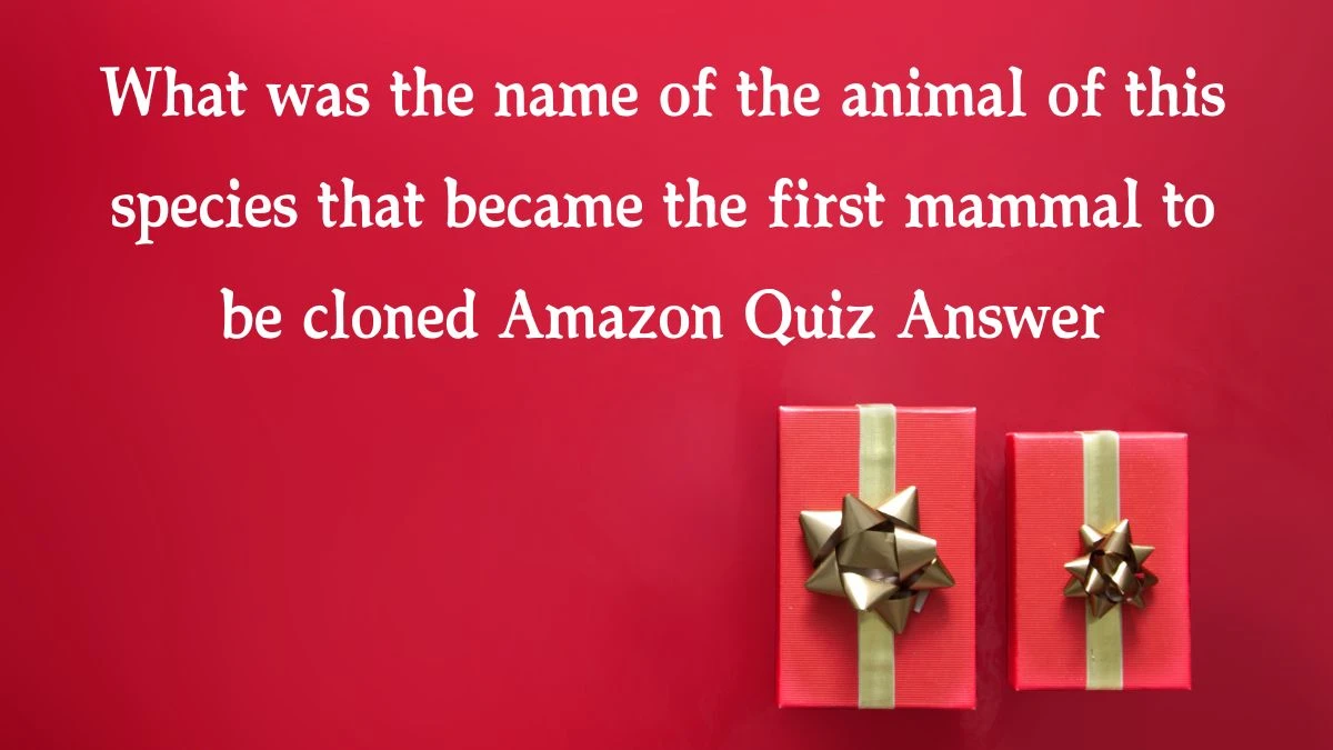 What was the name of the animal of this species that became the first mammal to be cloned Amazon Quiz Answer Today November 25, 2024