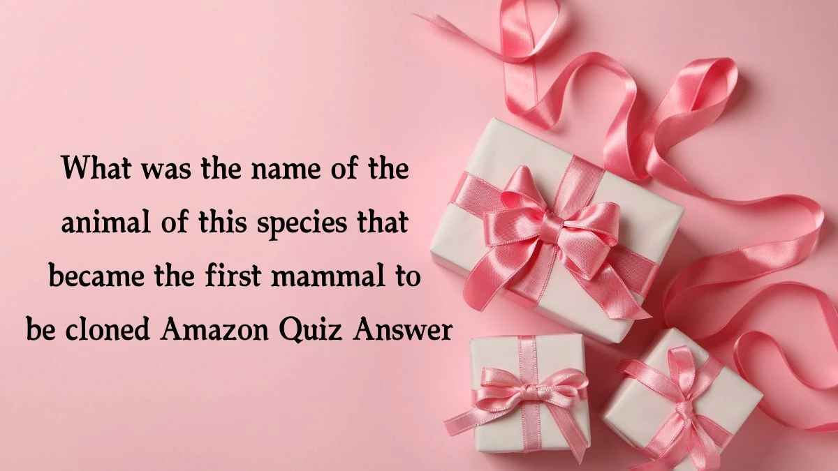 What was the name of this animal that was Alexander the Great's personal mount Amazon Quiz Answer Today November 26, 2024