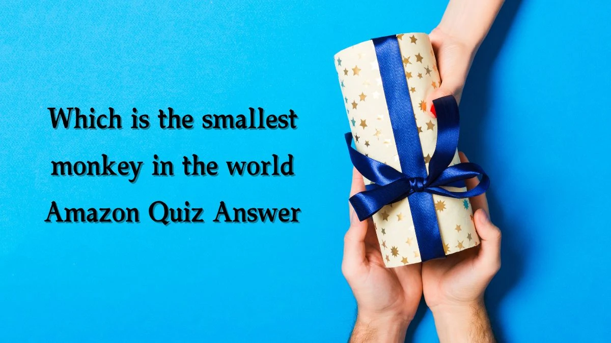 Which is the smallest monkey in the world Amazon Quiz Answer Today November 22, 2024