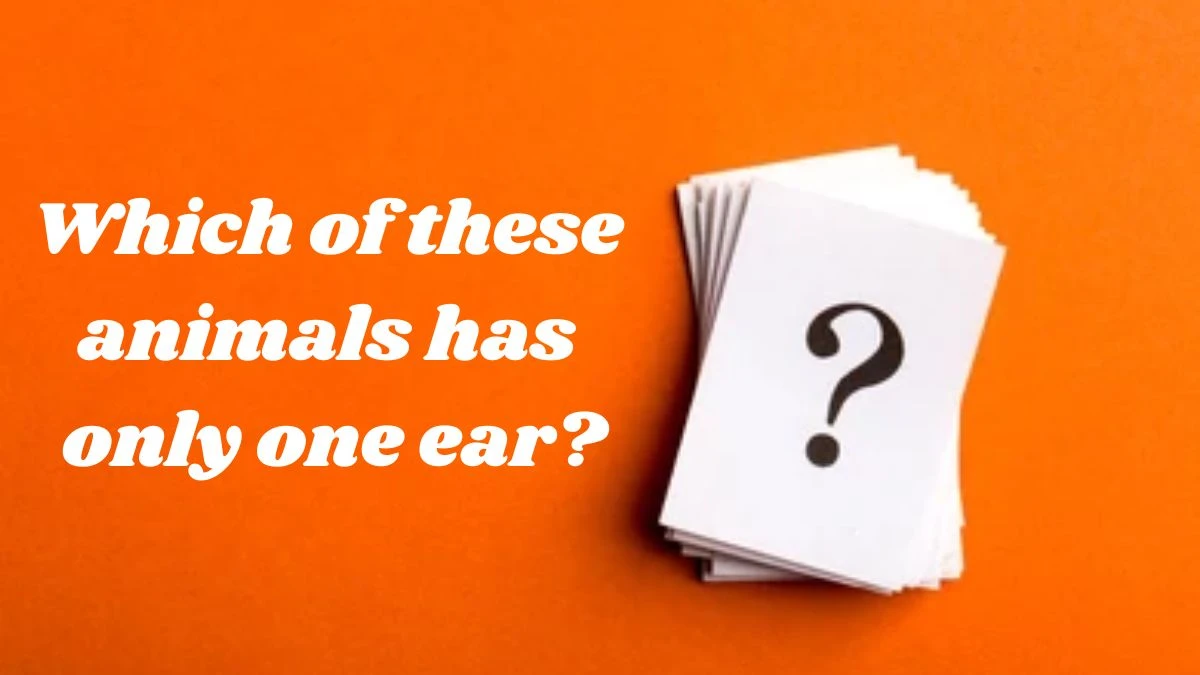 Which of these animals has only one ear?