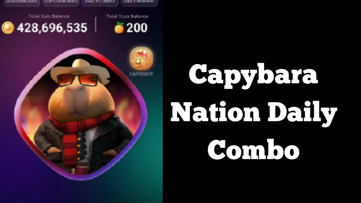 Capybara Nation Daily Combo 10th December 2024