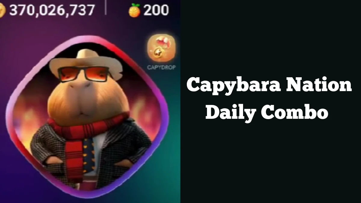 Capybara Nation Daily Combo 6th December 2024