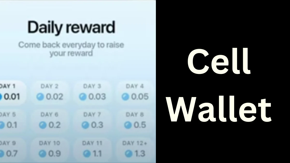 Cell Wallet Daily Combo 17 December, CellWallet Airdrop Combo Today