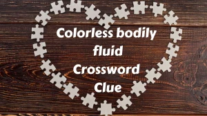 Colorless bodily fluid 7 Little Words Puzzle Answer from December 03, 2024