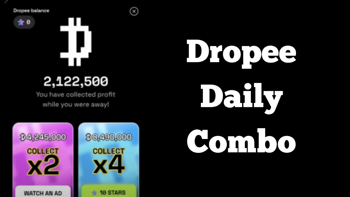 Dropee Daily Combo Today 20th December