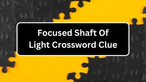 Focused Shaft Of Light Crossword Clue Puzzle Answer from December 13, 2024