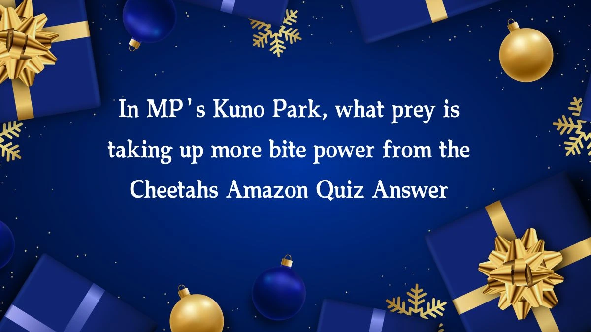 In MP's Kuno Park, what prey is taking up more bite power from the Cheetahs Amazon Quiz Answer Today December 12, 2024