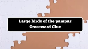 LA Times Large birds of the pampas Crossword Puzzle Answer from December 07, 2024