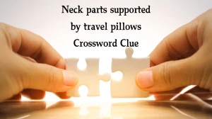 LA Times Neck parts supported by travel pillows Crossword Puzzle Answer from December 03, 2024