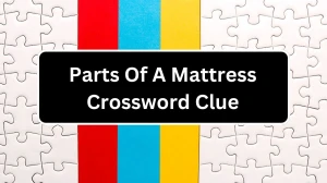 Parts Of A Mattress 7 Little Words Answer for December 21, 2024