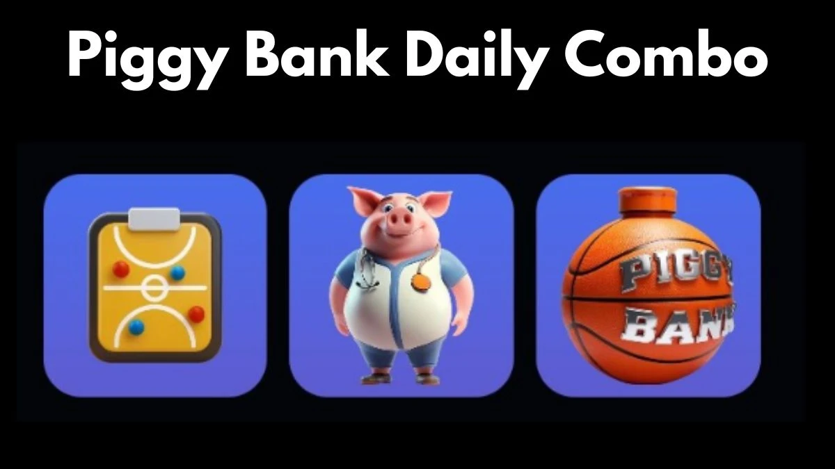 Piggy Bank Daily Combo Today 12 December 2024