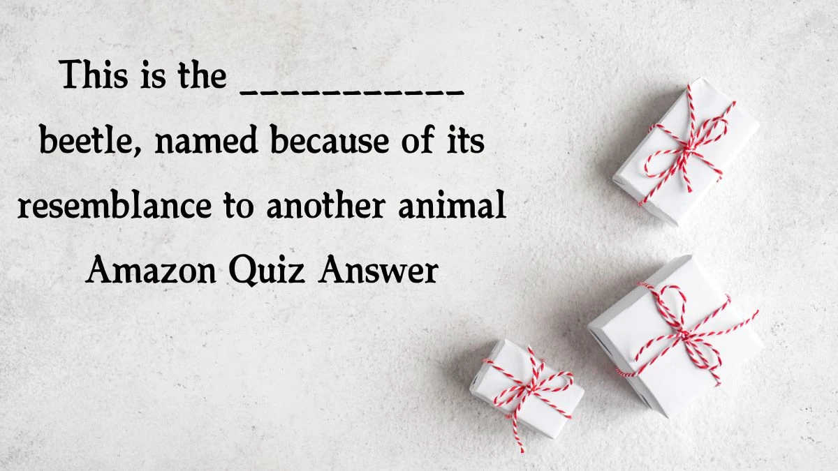 This is the ___________ beetle, named because of its resemblance to another animal Amazon Quiz Answer Today December 02, 2024