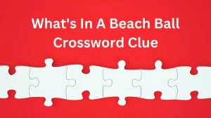 What's In A Beach Ball Daily Commuter Crossword Clue Puzzle Answer from December 07, 2024