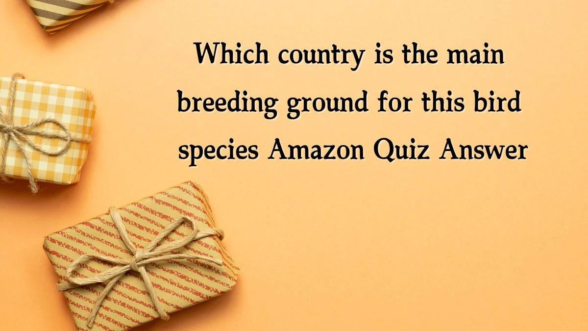 Which country is the main breeding ground for this bird species Amazon Quiz Answer Today December 14, 2024